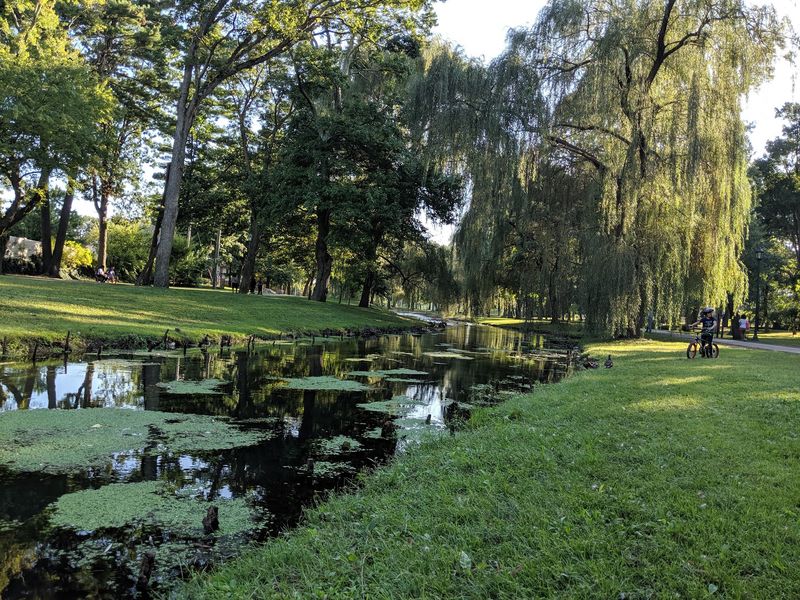 A Green Surprise at Valley Stream State Park
