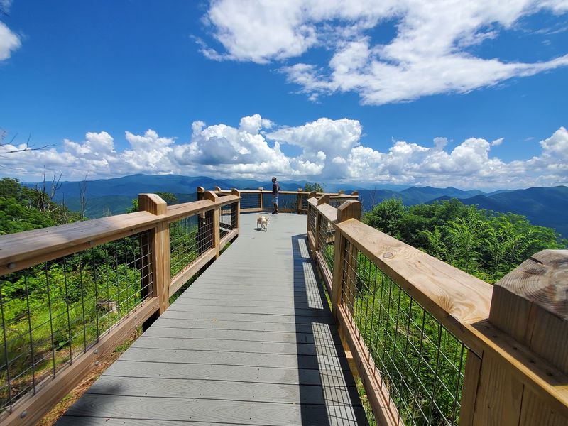 Maple Springs Observation Deck - Robbinsville