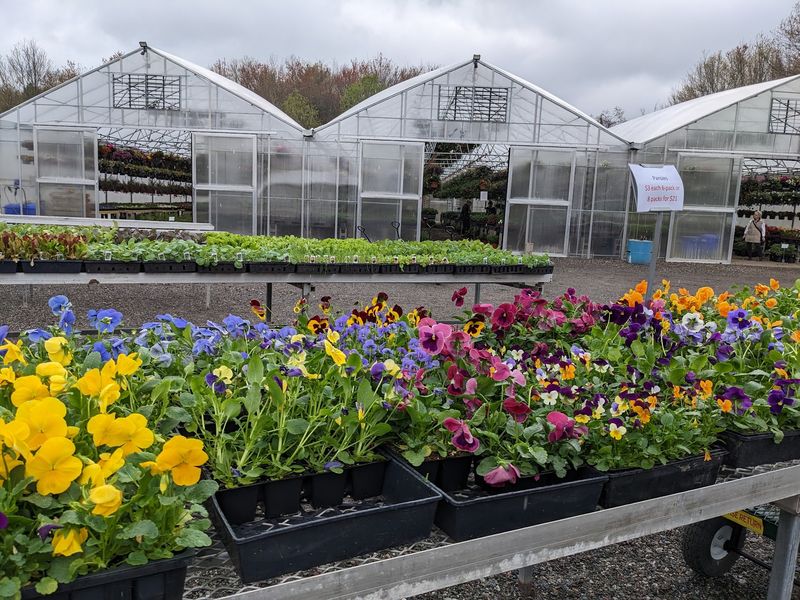 Mill River Farm Market, South Deerfield
