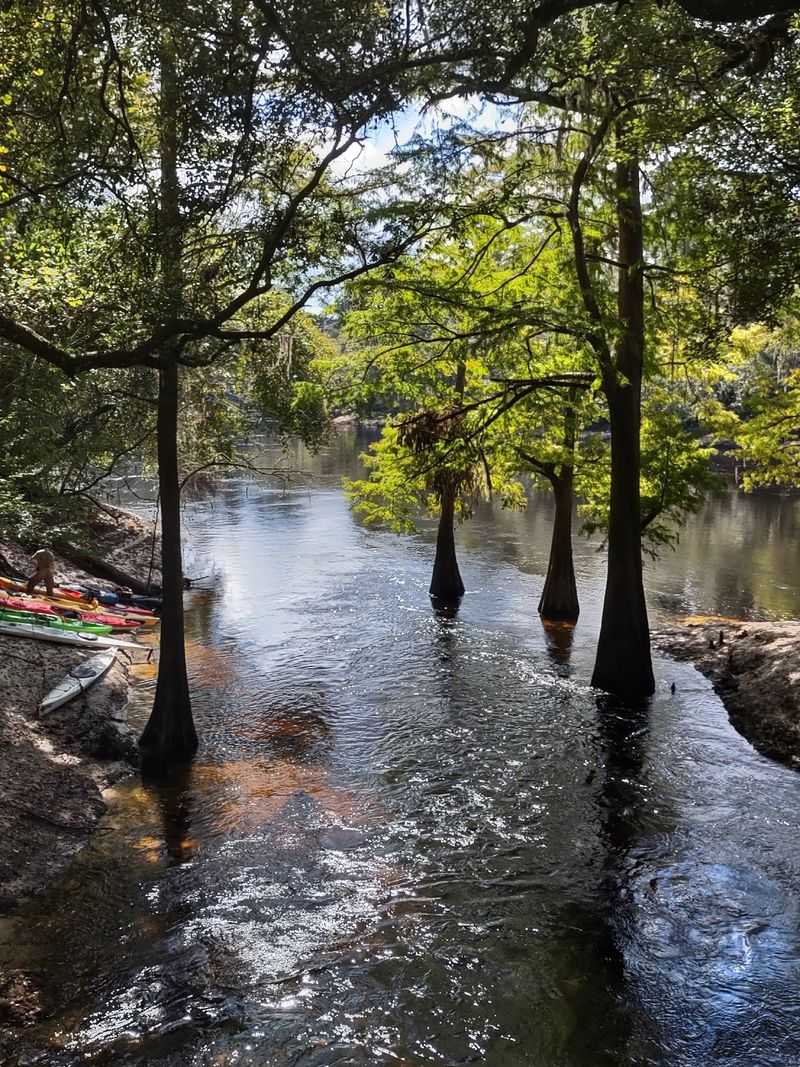 Suwannee River State Park cabins - Live Oak, Suwannee County,