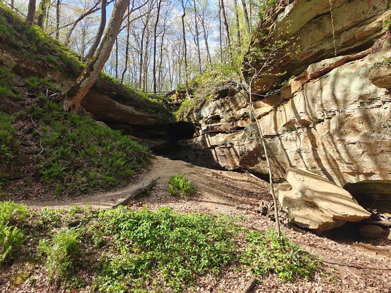 Wildcat Den State Park - Muscatine