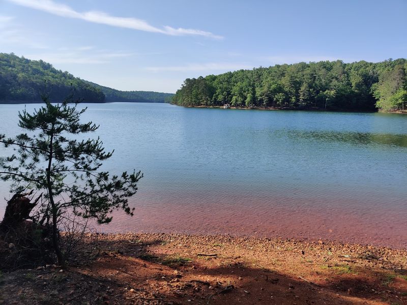 Philpott Lake - Bassett