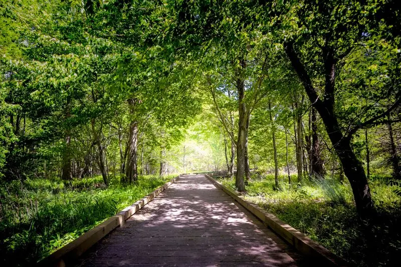 Trails Make Exploring Easy Without Feeling Boring
