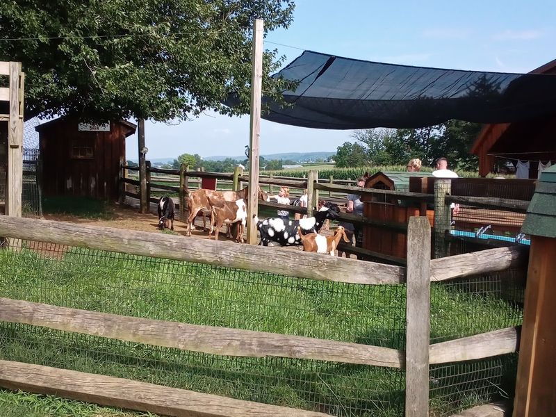 Cherry Crest Adventure Farm