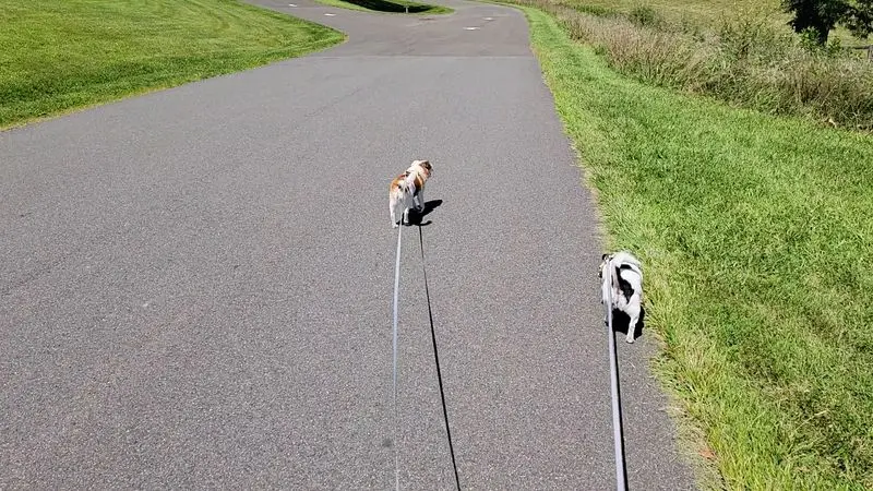 Rolling Meadows Trail