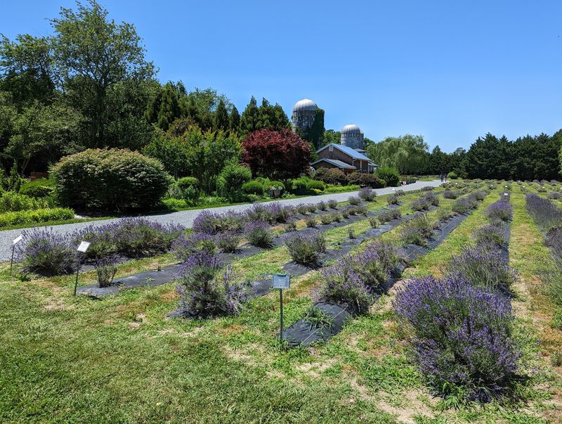 Kind Earth Farm, Lewes, Sussex County