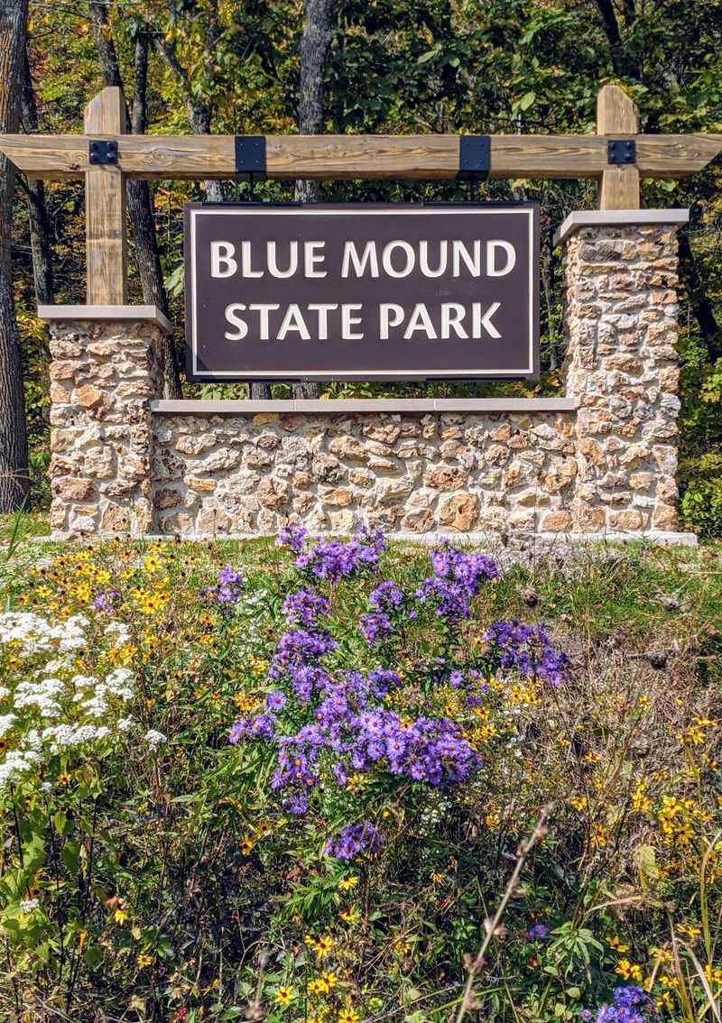 Blue Mound Lavender, Blue Mounds, Dane County