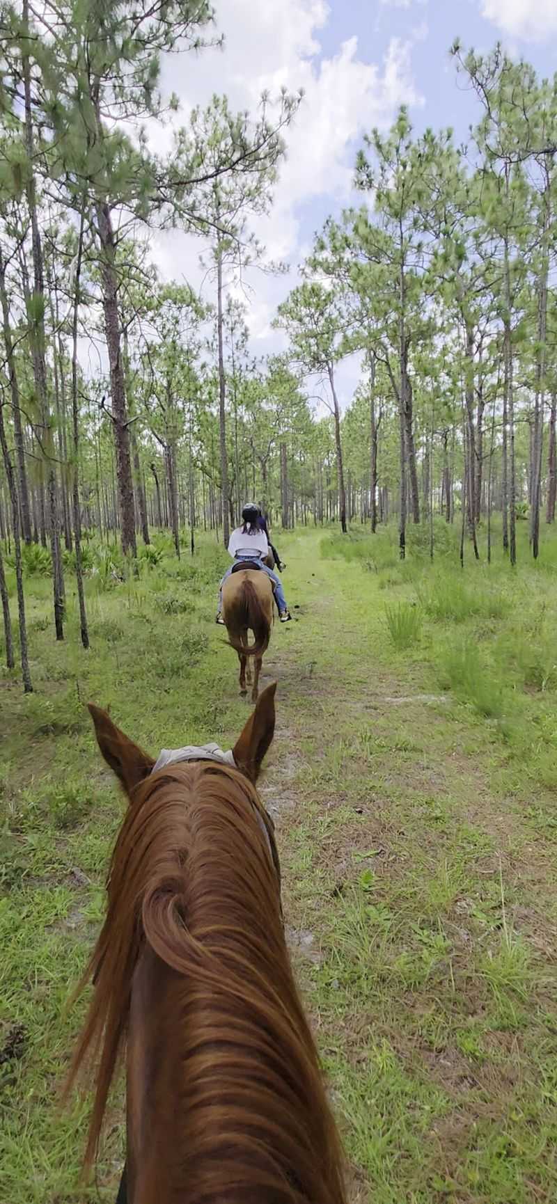 Rock Springs Guest Ranch - Sorrento