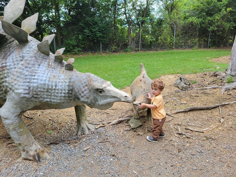 Photo Spots That Make Everyone Laugh