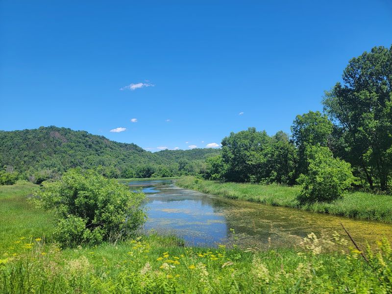 Yellow River State Forest, Harpers Ferry, Allamakee County