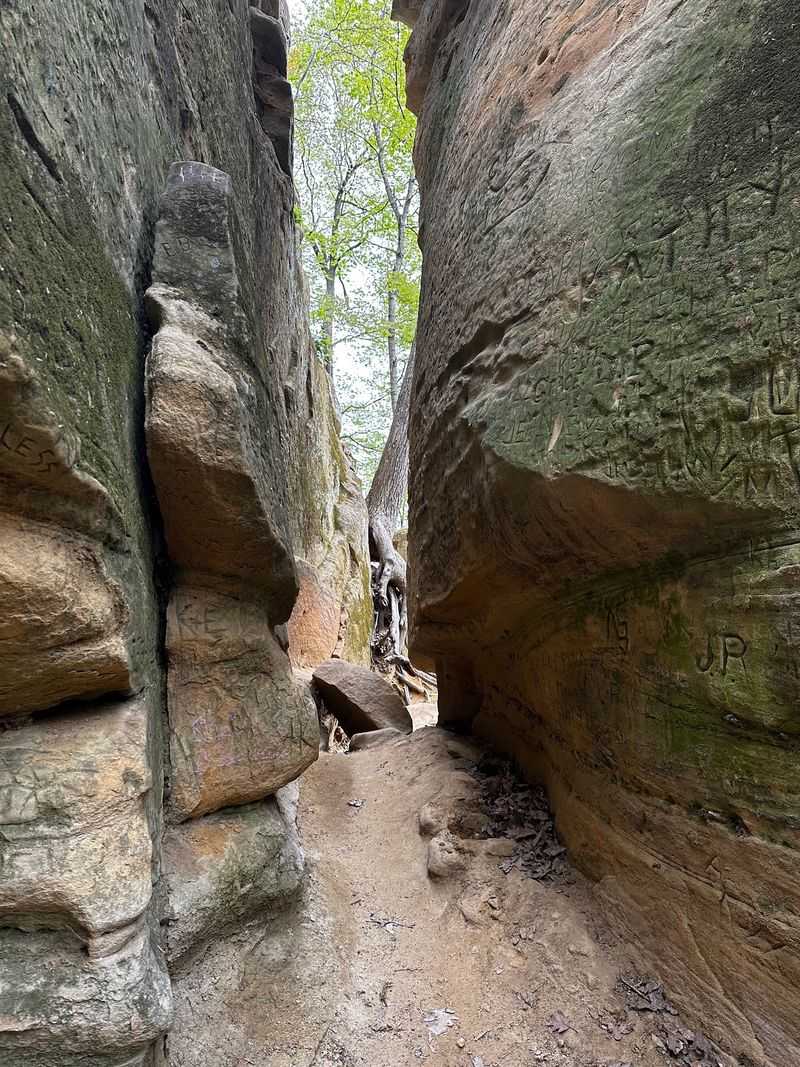Wildcat Den State Park Trails