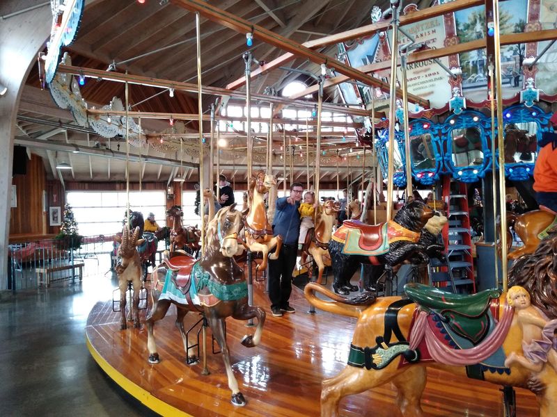 The Carousel Is Indoors, So Weather Can't Ruin the Fun