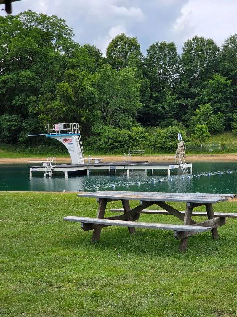 Take the Plunge From the Diving Boards