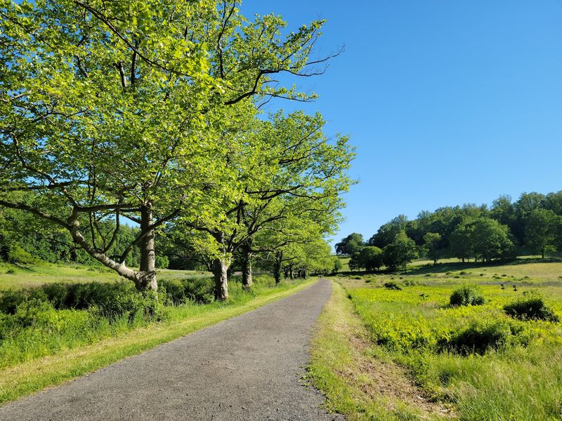 Rockefeller State Park Preserve, Pleasantville, Westchester County