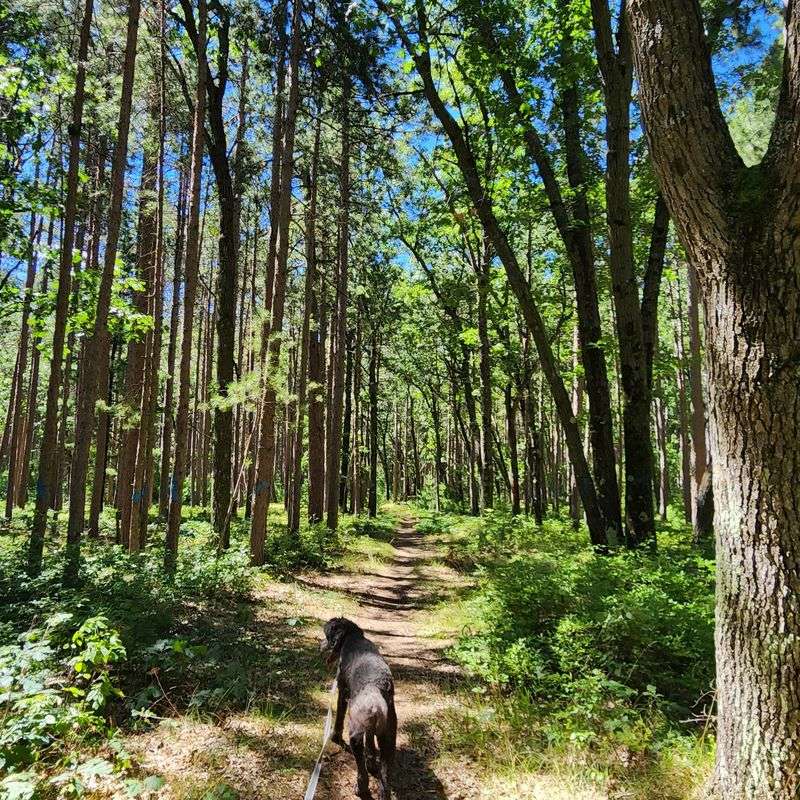 Highbanks Trail