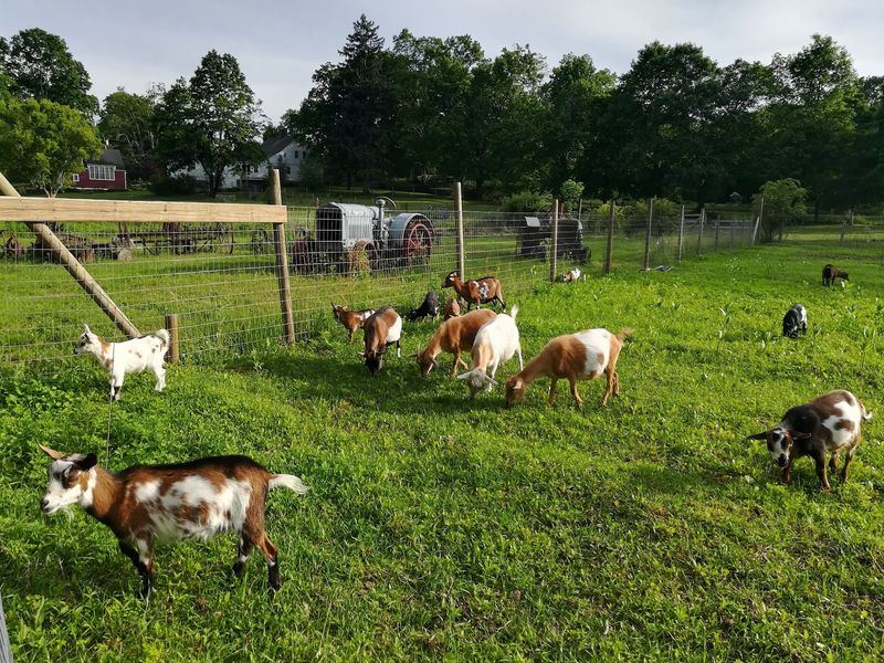 Flanders Nature Center - Woodbury, Litchfield County