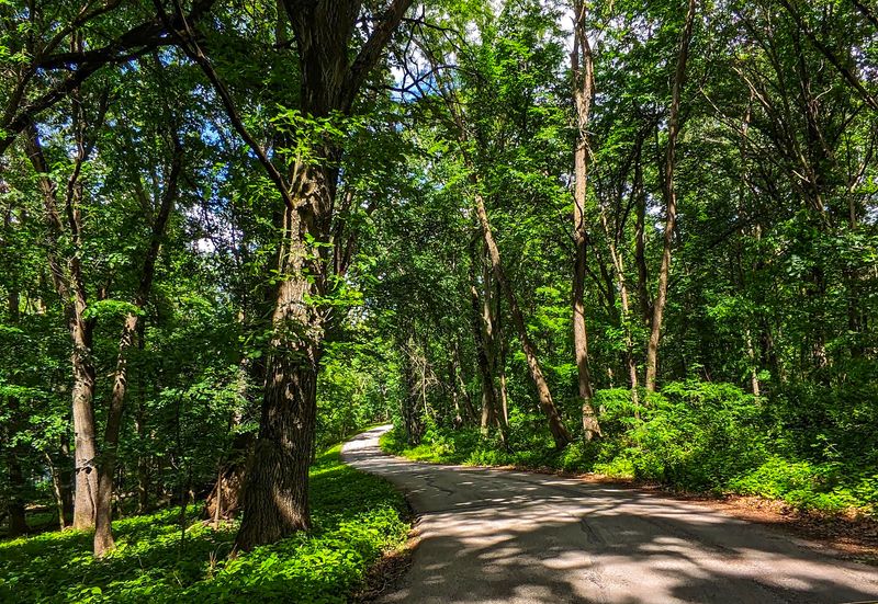 Trail Moments Made for Slow Wandering