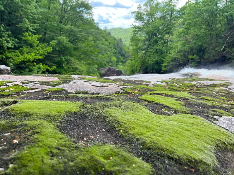 Gorges State Park