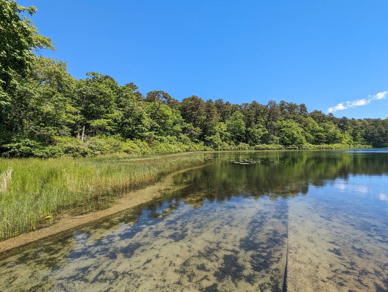 Round Pond
