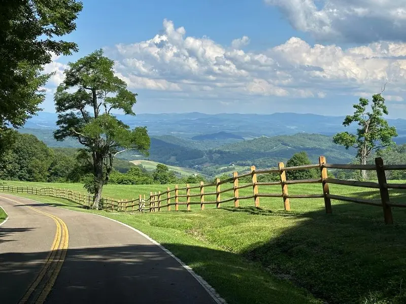 Rhododendron Trail, Grayson Highlands State Park, Mouth of Wilson, Grayson County