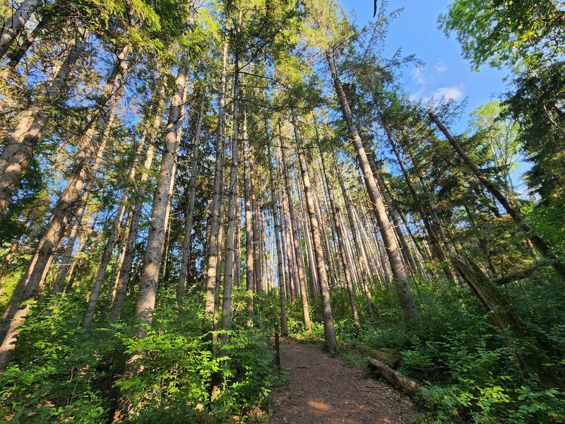 Tree-Lined Convenience in Waukesha, Waukesha County,