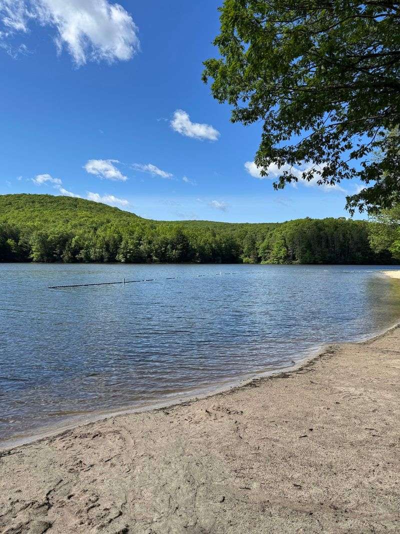Tuscarora State Park Beach