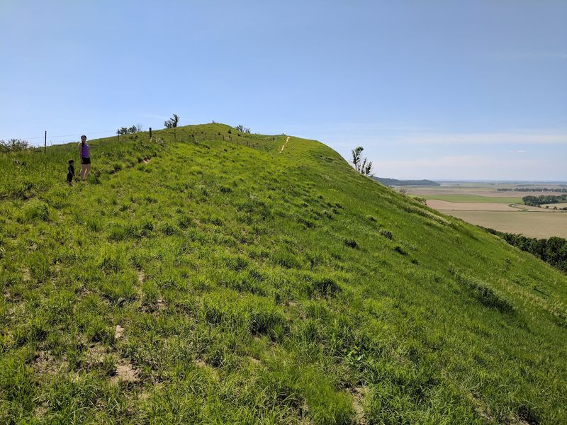 Murray Hill Scenic Overlook 