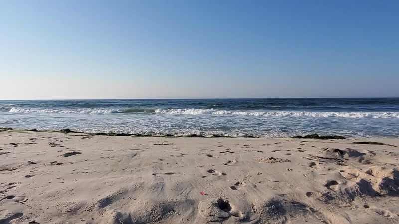 Cupsogue Beach County Park