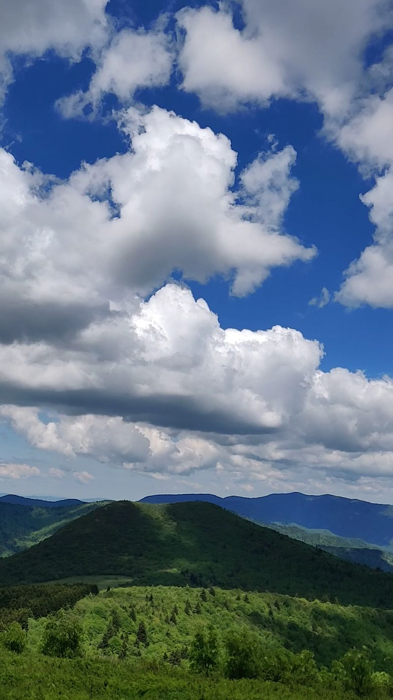 Black Balsam Knob, Canton, Haywood County