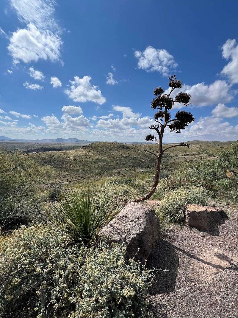 Keesey Canyon Overlook - Davis Mountains State Park