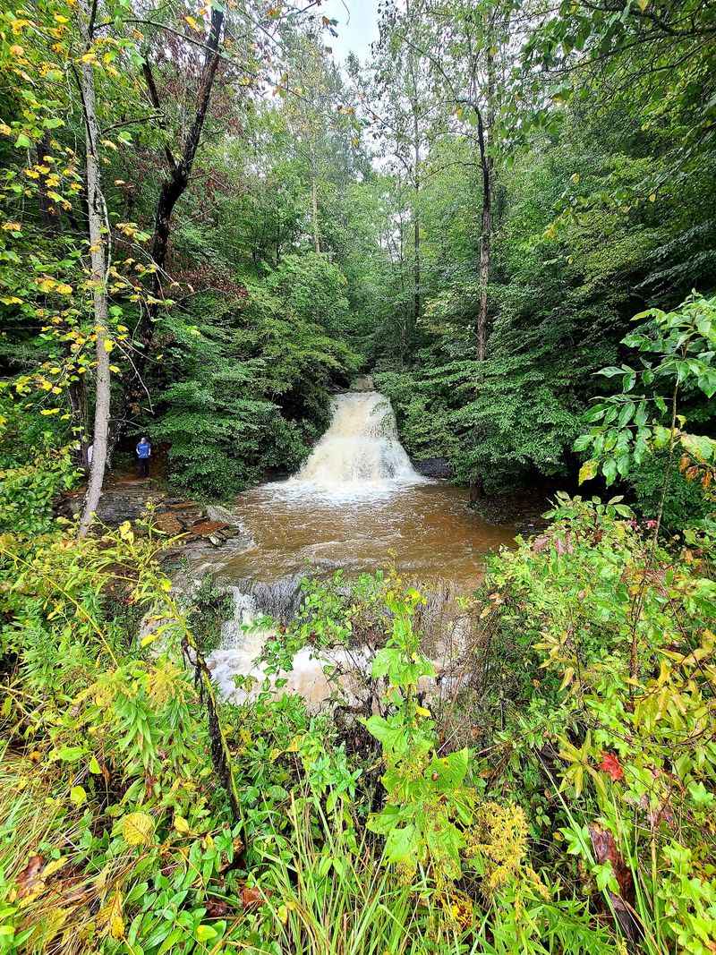 Wildcat Branch Falls, Salem, Greenville County