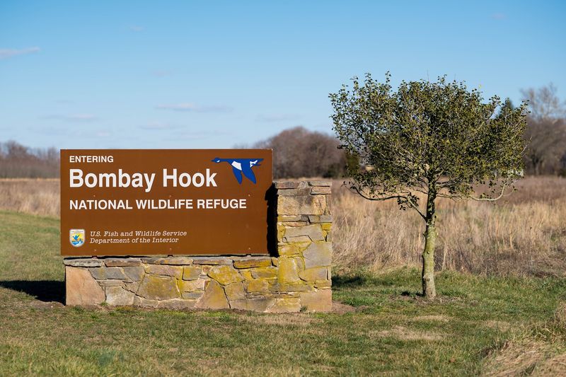 Bombay Hook National Wildlife Refuge - Smyrna