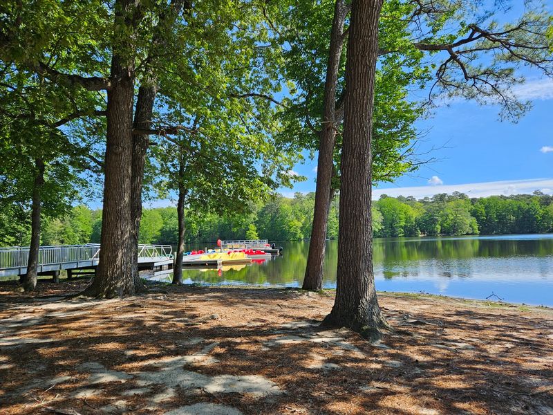 Trap Pond State Park, Laurel, Sussex County