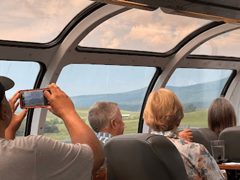Dome Car Seats Feel Like a Secret Upgrade