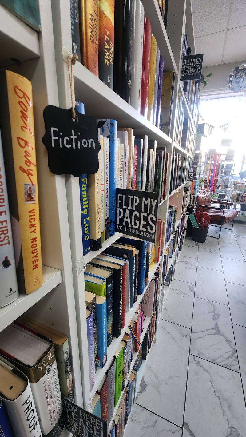 Curated Shelves That Reveal Hidden Gems