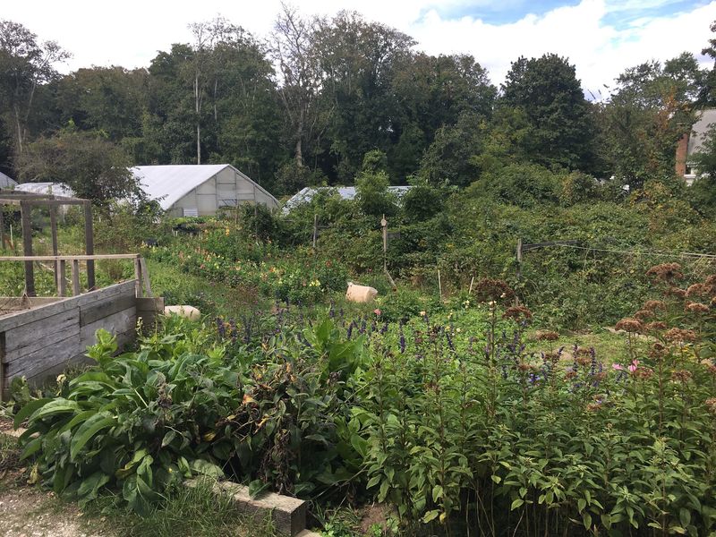 Lake Farm Gardens, Orleans