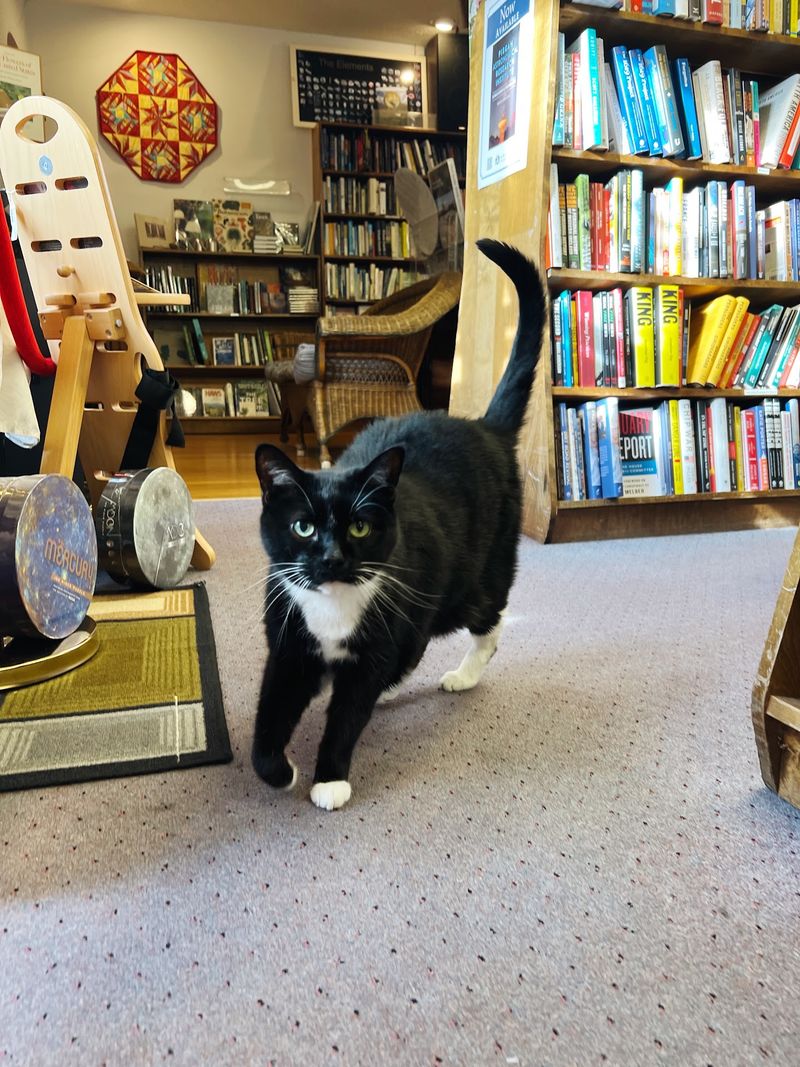 City Lights Bookstore - Sylva