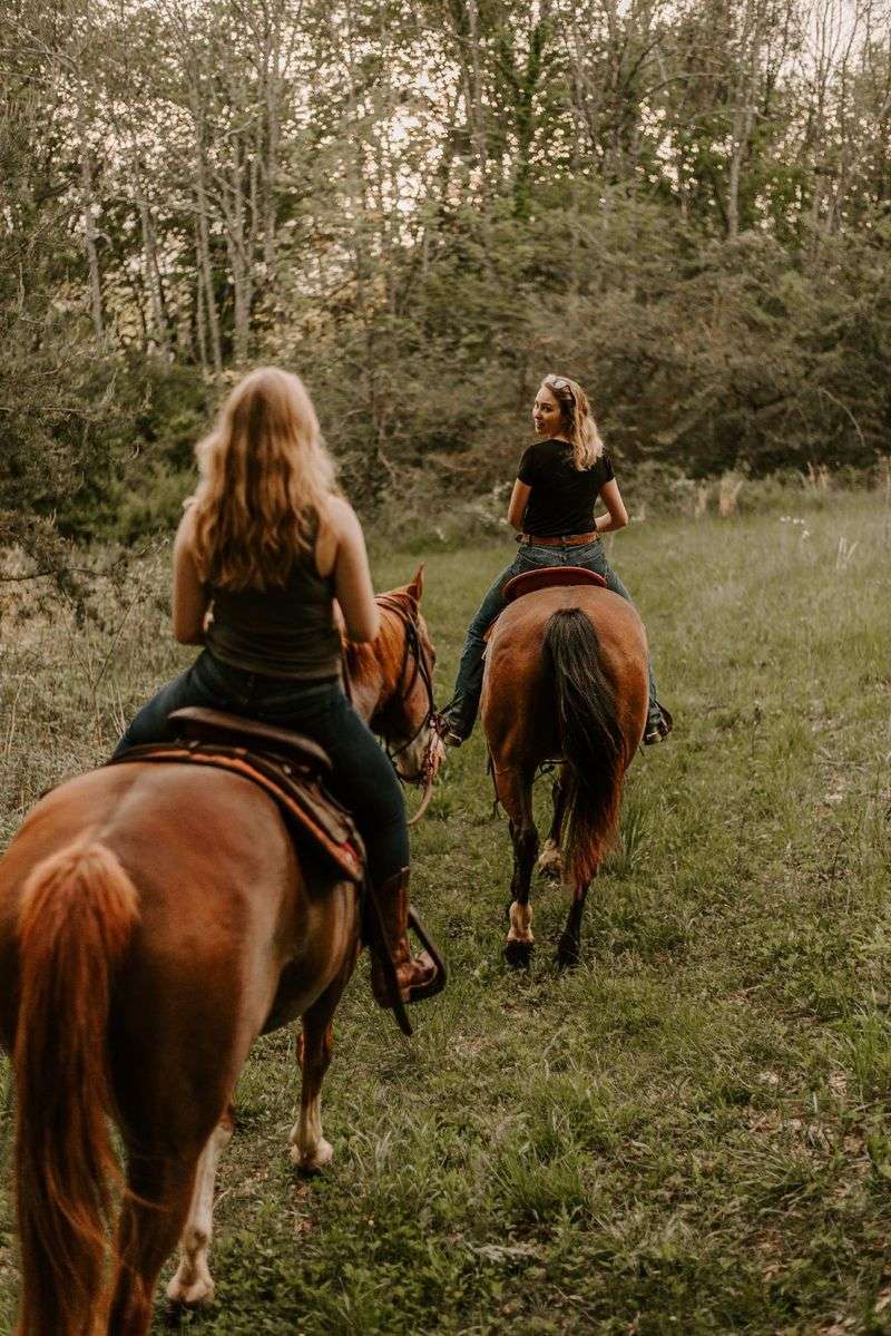 Mountaintop Ranch Equine Center, Elkton