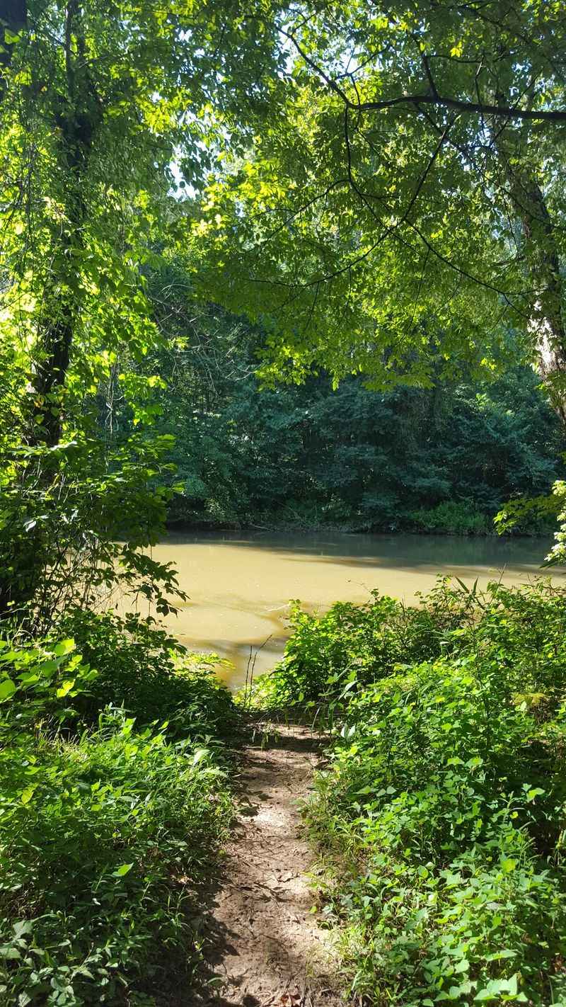 East Palisades Trail - Sandy Springs