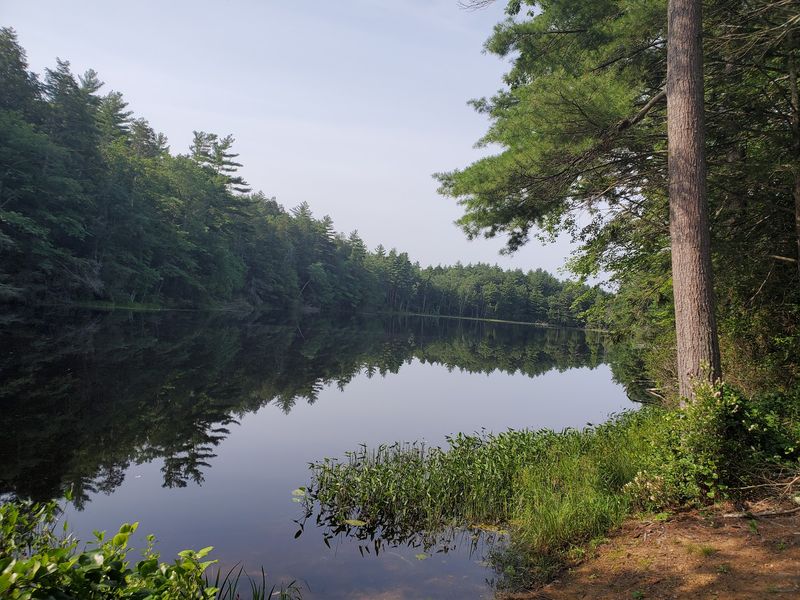Bigelow Hollow State Park and Breakneck Pond Trail - Union
