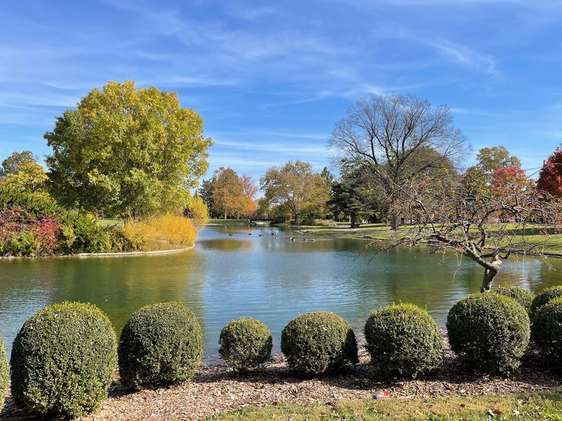 Franklin Park Conservatory and Botanical Gardens - A Garden Picnic Surrounded By Flowers
