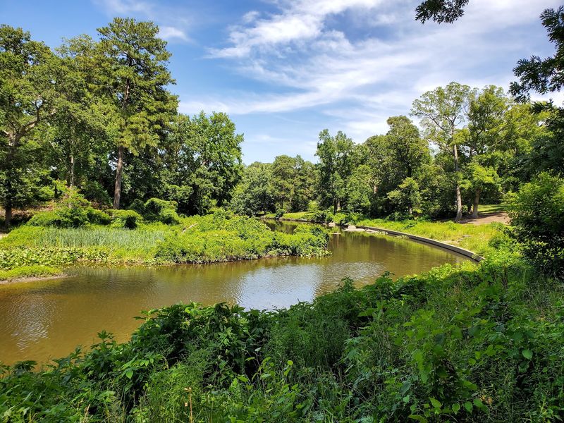 Joseph Bryan Park Azalea Garden - Richmond