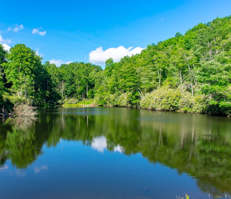Price Lake at Julian Price Memorial Park (Blue Ridge Parkway)