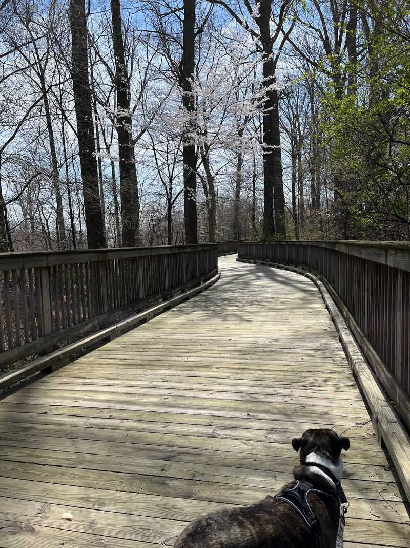Alapocas Run State Park