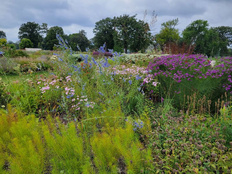 Oudolf Garden Detroit