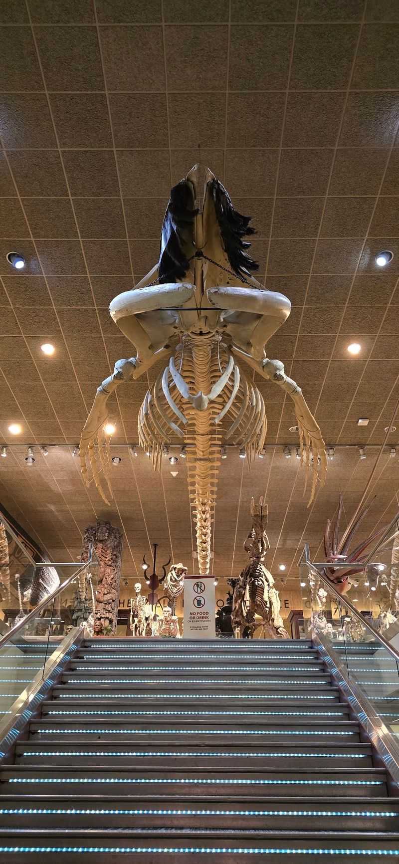 Big Displays, Bigger Time Scale
