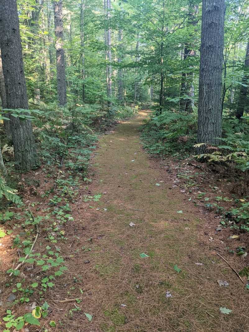 Black Mountain, Onaway, Cheboygan County,
