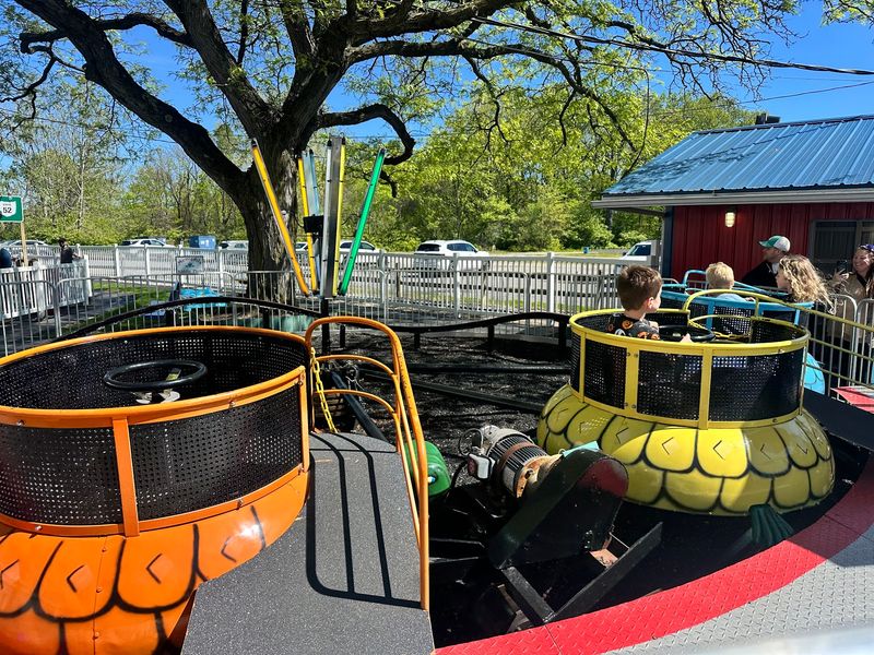 The Rides Are Made With Little Kids in Mind