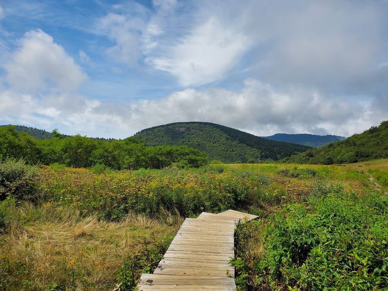 Perfect Base For Exploring The Black Balsam Area
