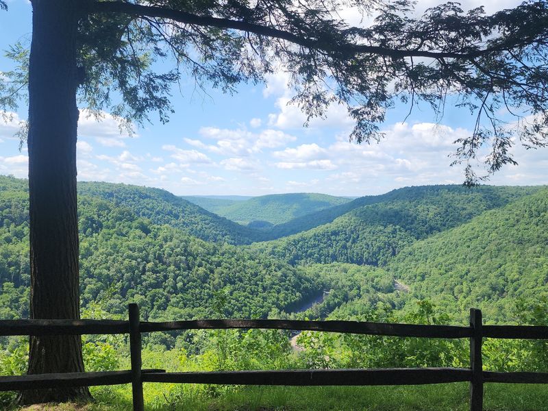 Loyalsock Trail